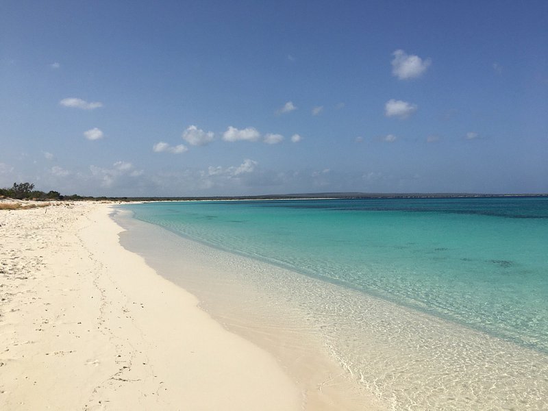 Bahía de las Águilas