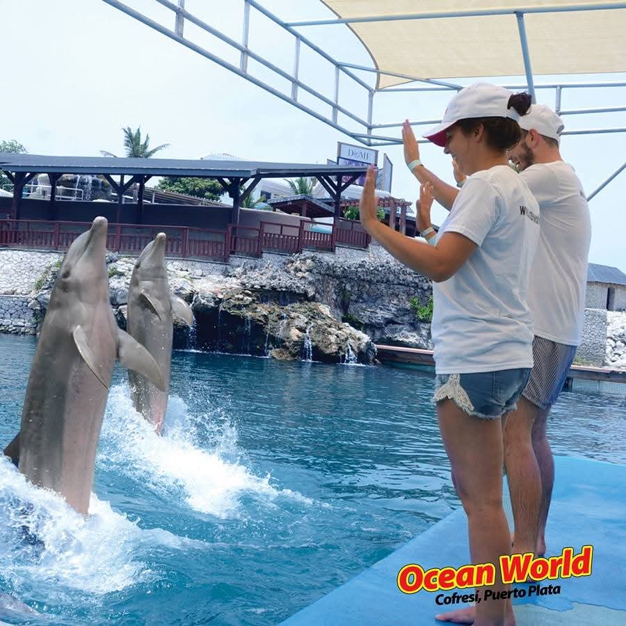Ocean World Adventure Park.